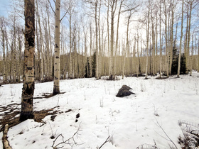 5384 N Rocky Rd MLS #2151942