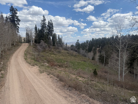 2211  Pine Loop Rd MLS #2151992