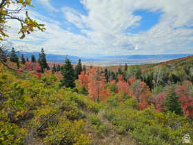 28 E Deer Valley Dr MLS #2152160