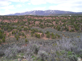 45634 W Easy Money MLS #2152291