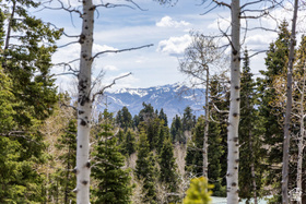 2664 S Iroquois Loop MLS #2152540