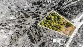 10573 E Spring Creek Dr MLS #2152909