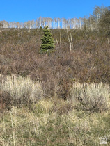 Address Not Available MLS #2153208