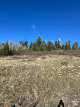 Address Not Available MLS #2153214