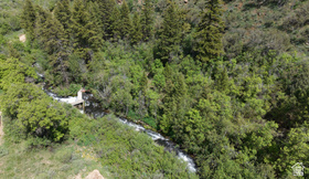 1300 W Swan Creek Spring Rd MLS #2153881