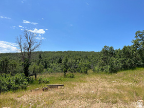 Address Not Available MLS #2154540
