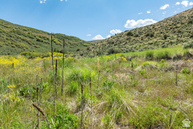6325 N Elk Ridge Rd MLS #2154829