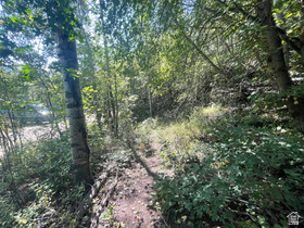 10337 N River Rd MLS #2154859