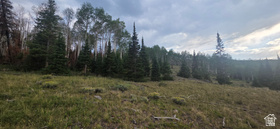 Address Not Available MLS #2155853