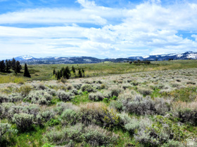 1664  Mill Canyon Rd MLS #2156305