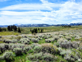 4005  Mill Canyon Rd MLS #2156313