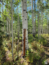 4032 S Buck Way MLS #2156875