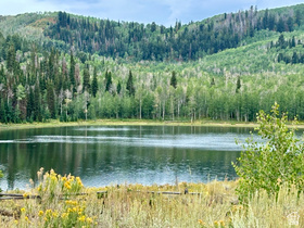 10385  Deer Creek Drive MLS #2157480