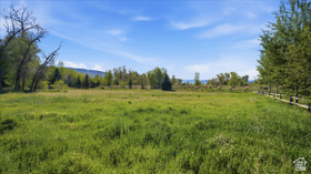 2410 N River Meadows Pkwy MLS #2157497