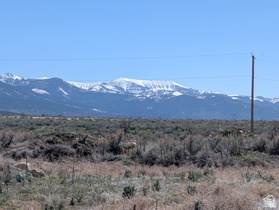 11799  Cove Creek Rd MLS #2157690