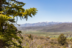 501  Splendor Valley Rd MLS #2158793