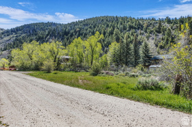 3770  Beaver Creek Rd MLS #2158877