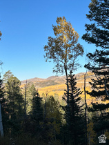 660 W Ski View Dr MLS #2159112