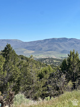 1313 N Monroe Peak Cir MLS #2159636