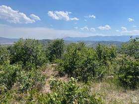 225  Ridgetop West MLS #2159904