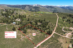 23555  Thad's Peak Dr MLS #2160233