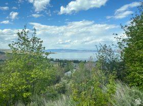 1379 N Broad Hollow Rd MLS #2160237