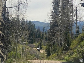 1798 W Alexander Rd MLS #2160639
