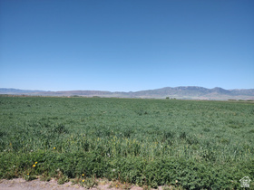 1300 N 800 W MLS #2160969