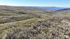 1  Hwy 39 MLS #2161963