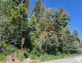 390  Aspen Dr MLS #2162077