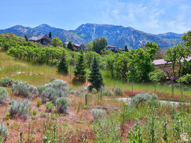 10279 S Dimple Dell Rd MLS #2162659