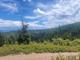 1920 W Elk Rd MLS #2164188