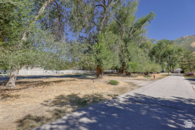 1511 E Winter Glen Ln MLS #2164300