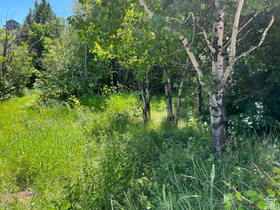 1320 N Sculpin Loop MLS #2165369