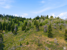 140 W Elk Rd MLS #2165453
