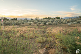 Address Not Available MLS #2165577