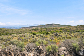 15633 S High Step Ln MLS #2166723