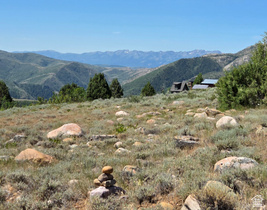3350 N Oak Canyon Rd MLS #2167416