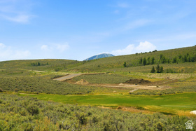 5795  Hawks Meadow Ln MLS #2167497
