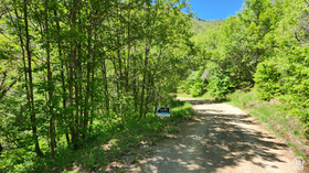 22465 N Elk Meadow Dr MLS #2169058