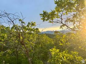 1556 S Tree Top Ln MLS #2169220
