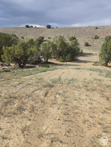 19774 W Toshas Trl MLS #2169532