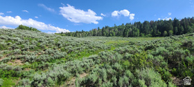 22991 E Alta Dr MLS #2170469