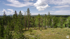 5828  Pineview Rd MLS #2170506