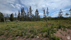5828  Pineview Rd MLS #2170506