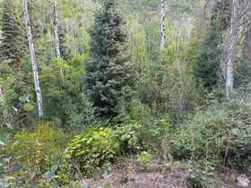 819  North Fork Rd MLS #2170582