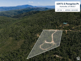 10971 E Peregrine Pt MLS #2172089