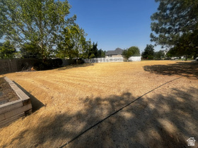 2295 W Joyli MLS #2172494