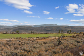 4994  Painted Valley Pass MLS #2172739