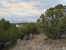 14542 S Shaggy Mountain Rd MLS #2172863